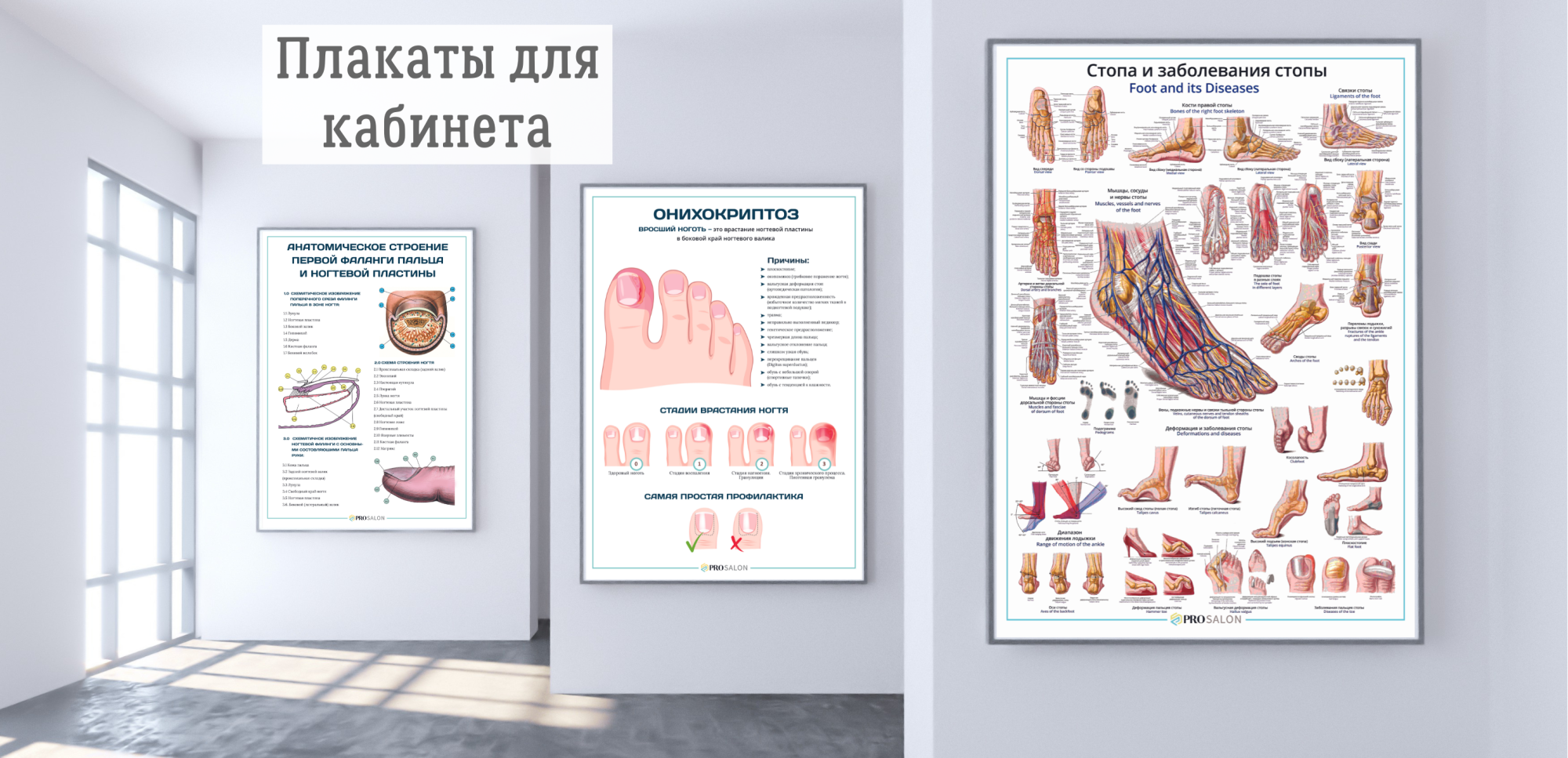 Плакаты для рабочего кабинета