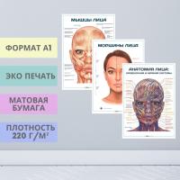 Набор плакатов для кабинета косметолога (3 шт)