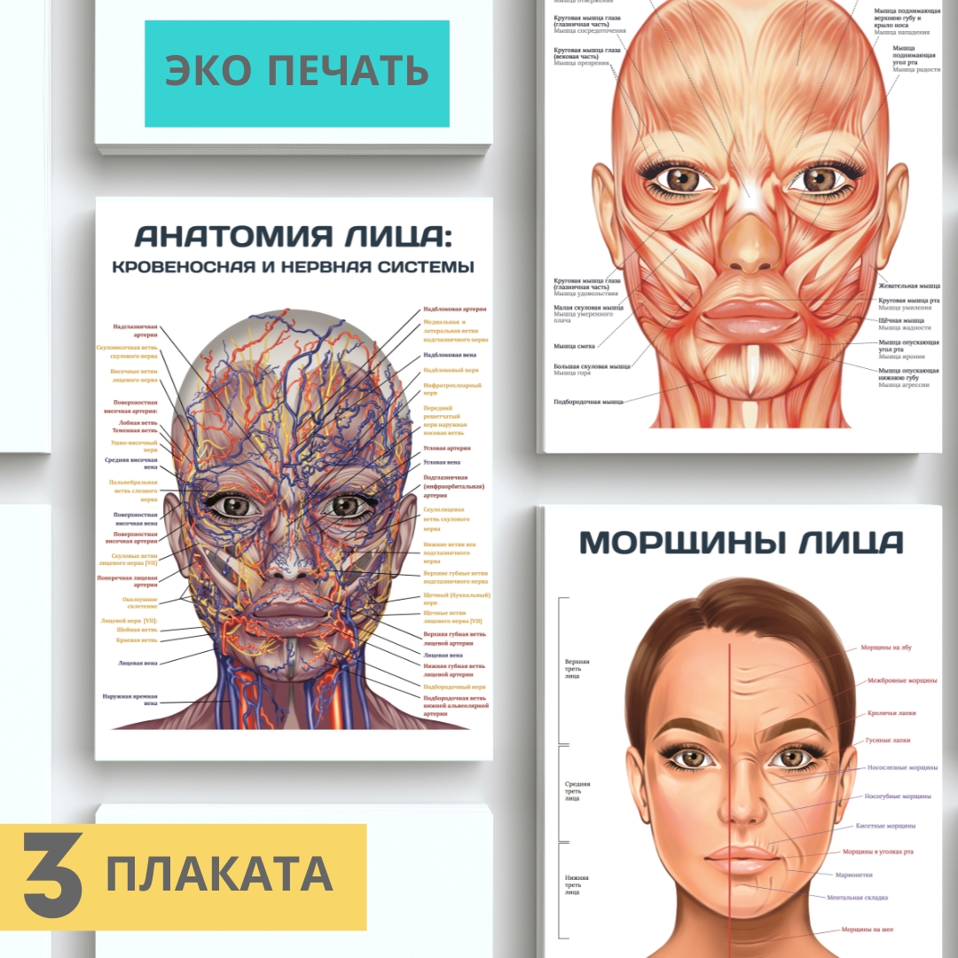 набор плакатов для кабинета косметолога (3 шт)
