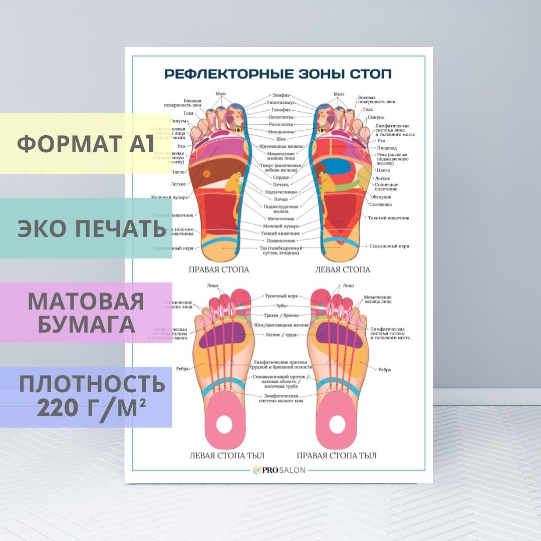 Схема рефлекторных зон на стопах