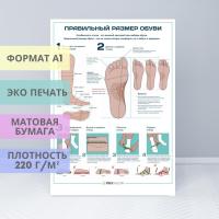 Правильный размер обуви