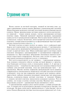 Поражения ногтей в практике врача-дерматовенеролога. Руководство для врачей_page-0003