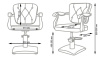 парикмахерское кресло модесто